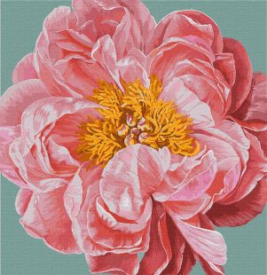 Malowanie po numerach - Pink kiss ©Ira Volkova