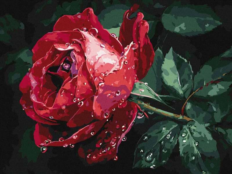 Malowanie po numerach - Róża w deszczu ©art_selena_ua