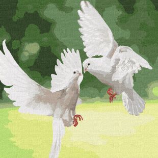 Malowanie po numerach - Gołębie śnieżnobiałe