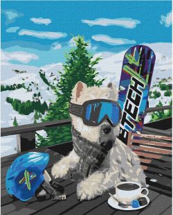 Malowanie po numerach - Snowboardzista