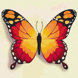 Malowanie po numerach - Pomarańczowy motyl