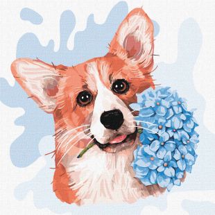 Malowanie po numerach - Mały corgi