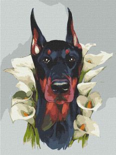 Malowanie po numerach - Majestatyczny Doberman