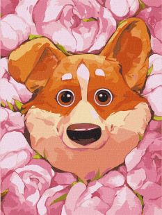 Malowanie po numerach - Kwitnące corgi