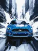 Malowanie po numerach - Niebieski mustang ©art_selena_ua