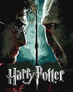 Malowanie po numerach - Harry Potter: Harry i Voldemort z farbami metalicznymi extra ©Warner Bros.