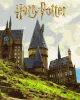 Malowanie po numerach - Harry Potter: Krajobraz Hogwartu z metalicznymi farbami ©Warner Bros.