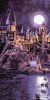 Malowanie po numerach - Harry Potter: Przybycie do Hogwartu z farbami metalicznymi extra ©Warner Bros.