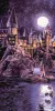 Malowanie po numerach - Harry Potter: Przybycie do Hogwartu z farbami metalicznymi extra ©Warner Bros.