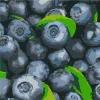 Malowanie po numerach - Soczysta borówka
