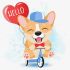 Malowanie po numerach - Wesoły corgi