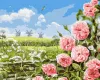 Malowanie po numerach - Delikatność pól ©Аlessandro Remi