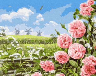 Malowanie po numerach - Delikatność pól ©Аlessandro Remi