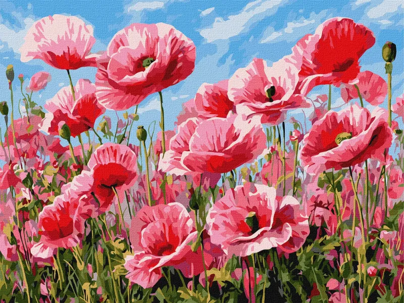 Malowanie po numerach - Różowe maki ©art_selena_ua