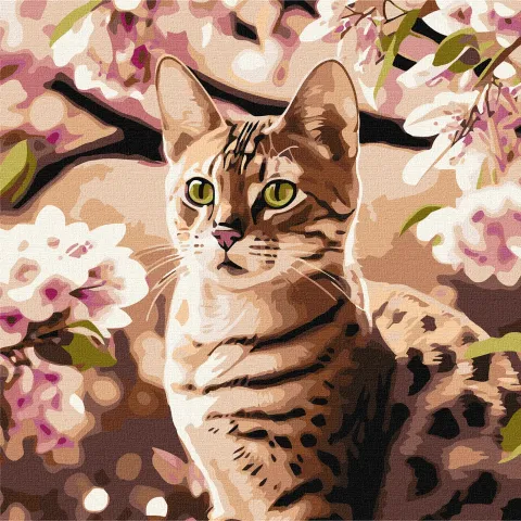 Malowanie po numerach - Kotek w ogrodzie ©art_selena_ua