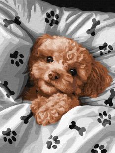 Malowanie po numerach - Uroczy Maltipoo ©art_selena_ua