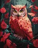 Malowanie po numerach - Kolorowa sowa z farbami metalicznymi extra ©art_selena_ua
