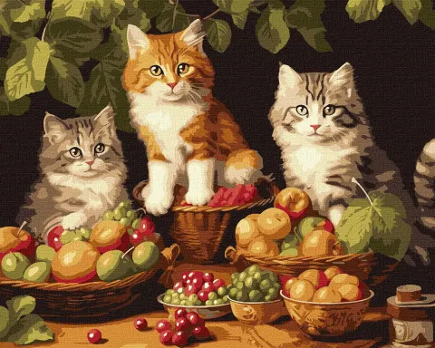 Malowanie po numerach - Koty i owoce ©art_selena_ua