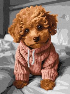 Malowanie po numerach - Magiczny Maltipoo ©art_selena_ua