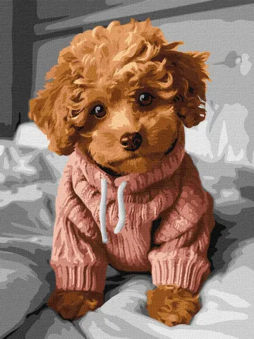 Malowanie po numerach - Magiczny Maltipoo ©art_selena_ua