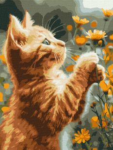Malowanie po numerach - Rudy puszystek ©art_selena_ua