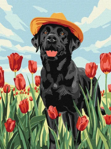 Malowanie po numerach - Uroczy labrador ©art_selena_ua