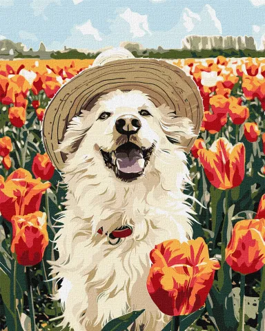 Malowanie po numerach - Szczęśliwy labrador ©art_selena_ua