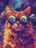 Malowanie po numerach - Gwiezdne okulary ©art_selena_ua