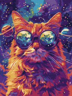Malowanie po numerach - Gwiezdne okulary ©art_selena_ua