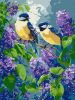 Malowanie po numerach - Wiosenny duet ©art_selena_ua