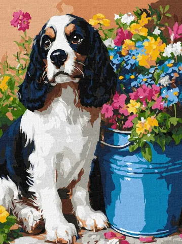 Malowanie po numerach - Uroczy spaniel ©art_selena_ua