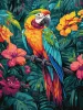 Malowanie po numerach - Tropikalny ptak ©art_selena_ua