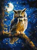 Malowanie po numerach - Nocna Sowa z farbami metalicznymi extra ©art_selena_ua