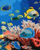 Malowanie po numerach - Życie oceanu
