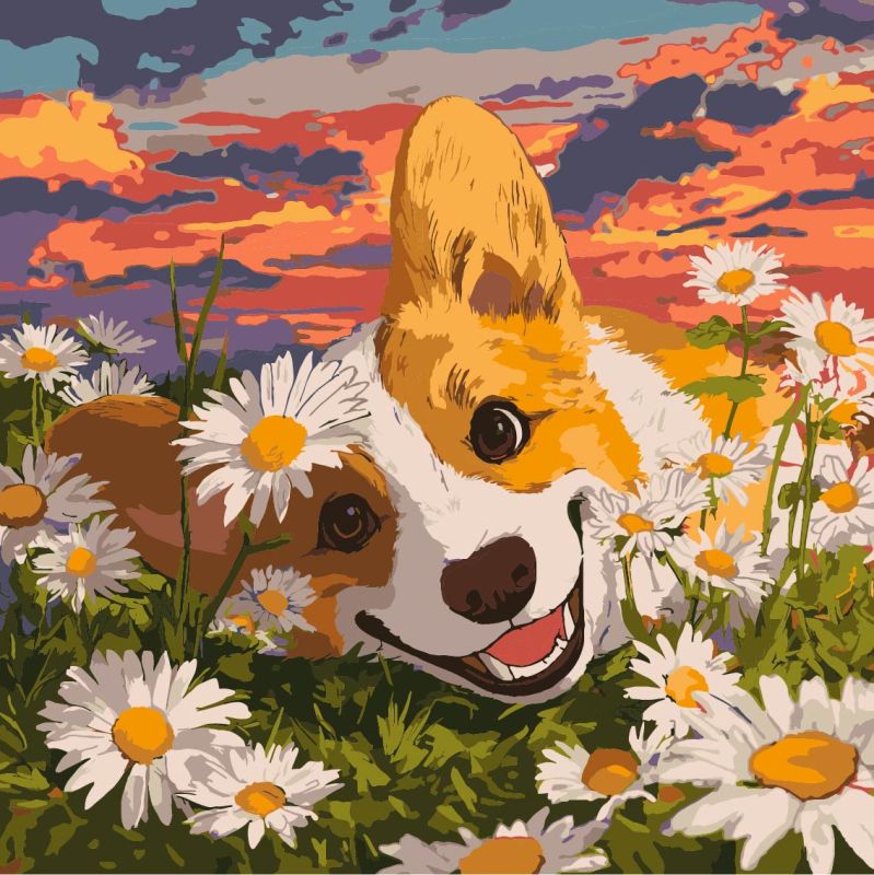 Malowanie po numerach - Corgi w stokrotkach ©art_selena_ua