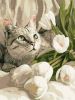 Malowanie po numerach - Zielonooki kot z tulipanami ©art_selena_ua