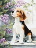 Malowanie po numerach - Beagle wśród kwiatów ©art_selena_ua