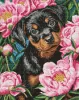 Diamentowa Mozaika - Kwiatowe marzenia kocura ©art_selena_ua