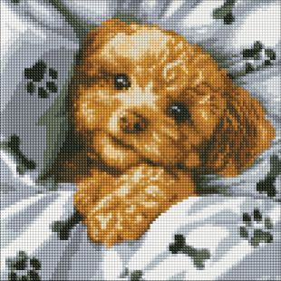 Diamentowa Mozaika bez ramy - Uroczy Maltipoo ©art_selena_ua