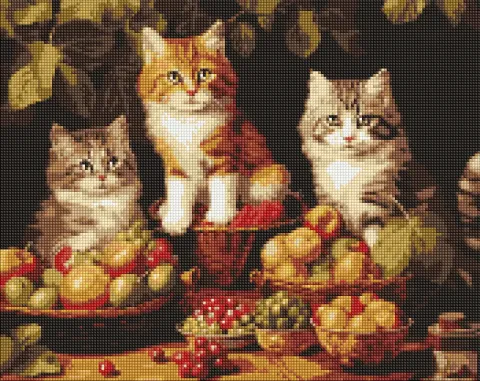 Diamentowa Mozaika - Koty i owoce ©art_selena_ua