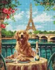 Diamentowa Mozaika - Retriever w Paryżu ©art_selena_ua