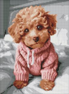 Diamentowa Mozaika - Magiczny Maltipoo ©art_selena_ua