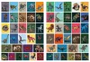 Książka-kolorowanka z naklejkami - Drapieżne dinozaury ©art_selena_ua
