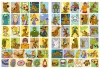 Książka-kolorowanka z naklejkami - Scooby-doo ©Warner Bros.